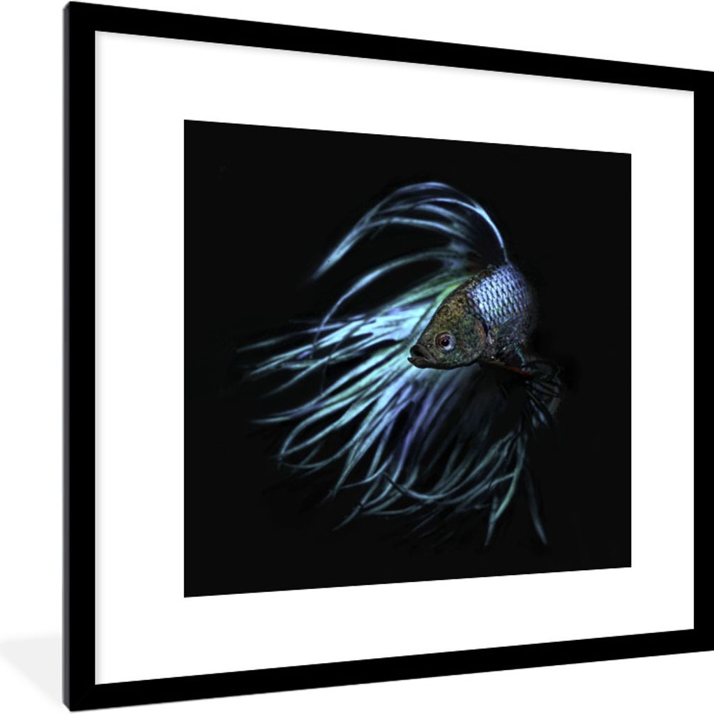 MuchoWow Gerahmtes Poster Fische - Meerestiere - Blau - Schwarz 40x40 cm - Poster mit Schwarzem Bilderrahmen Wandposter Rahmen Foto Bilder