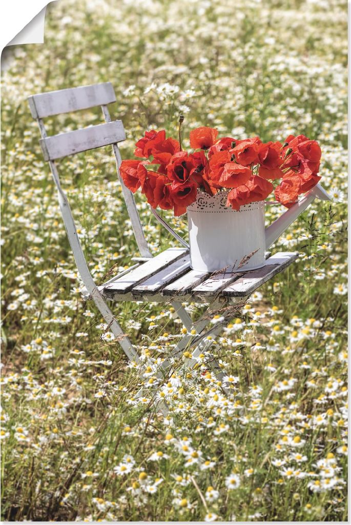 ARTland Poster Stuhl im Kamille Feld mit Mohnblüten Größe: 80x120 cm