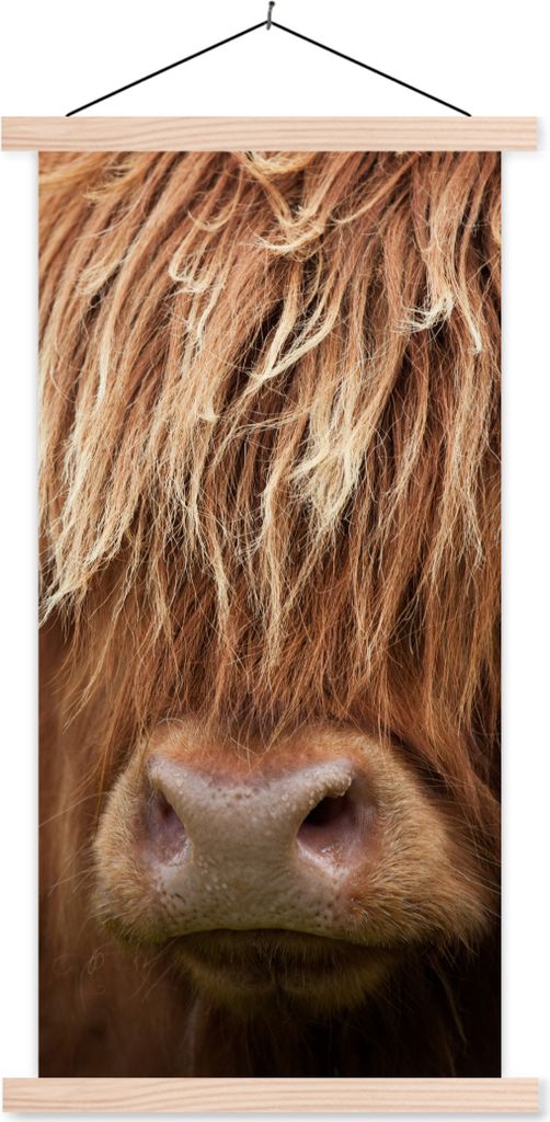 MuchoWow Textilposter Schottisches Hochlandrind - Nase - Haare 40x80 cm mit holzfarbenen Rahmen - Wohnzimmer