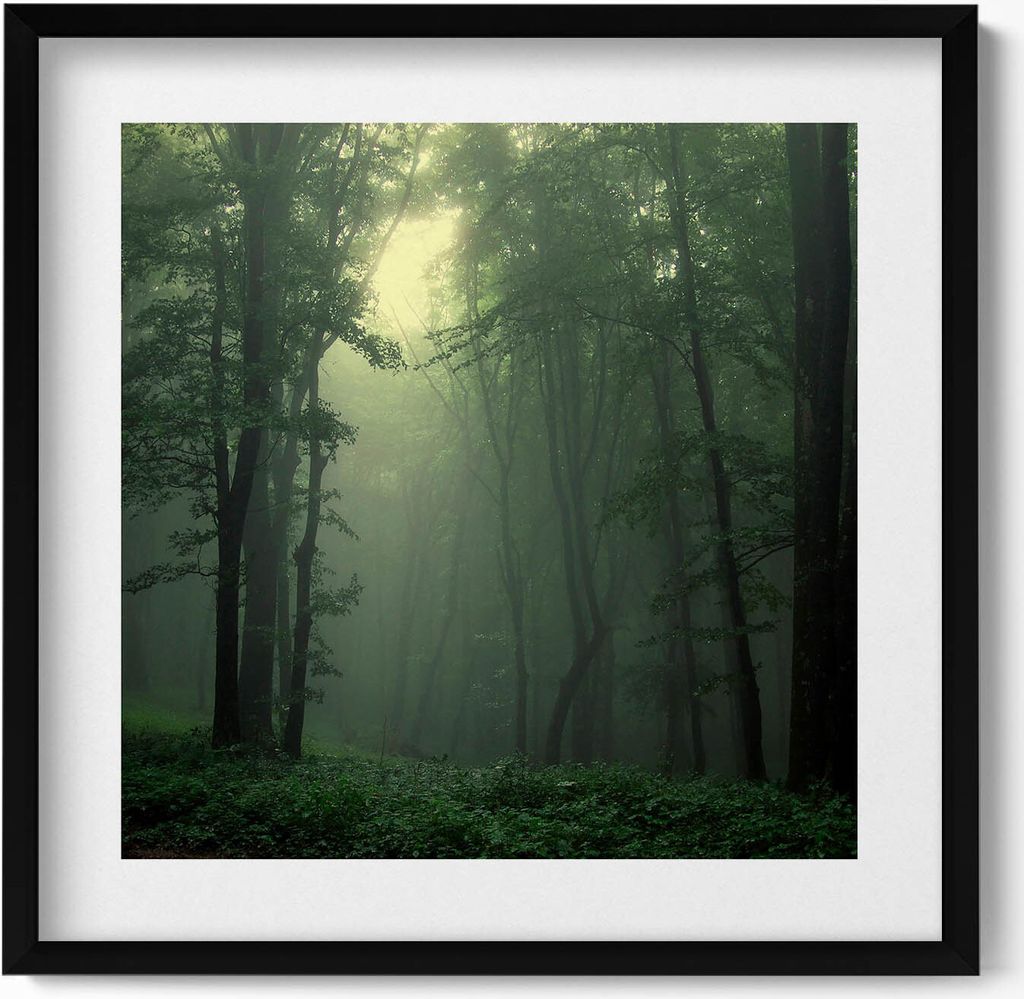 Nebliger Wald am Morgen– Wandbild mit Rahmen – Gerahmtes Bild – Wanddekoration – 50x50 cm – Schwarz Rahmen