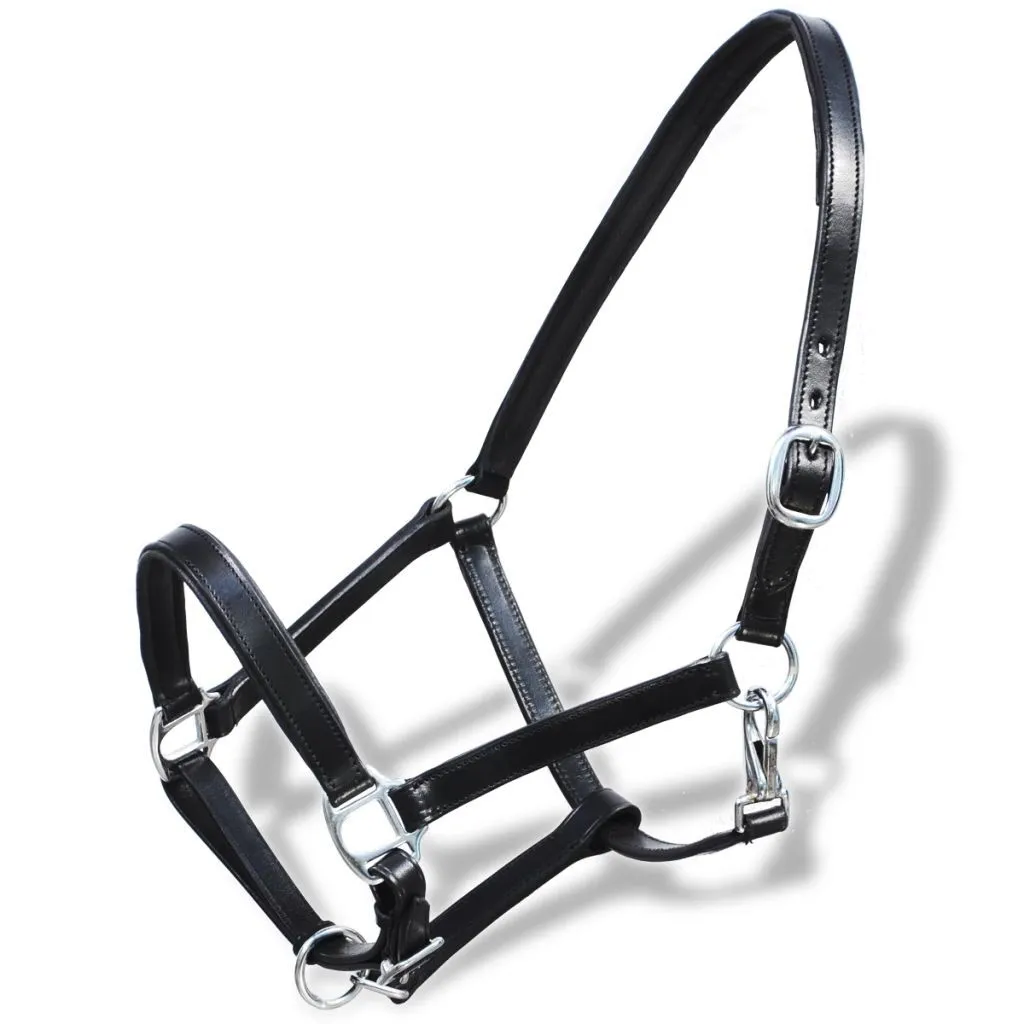Licol cuir véritable noir ajustable avec boucles en métal Full - 4