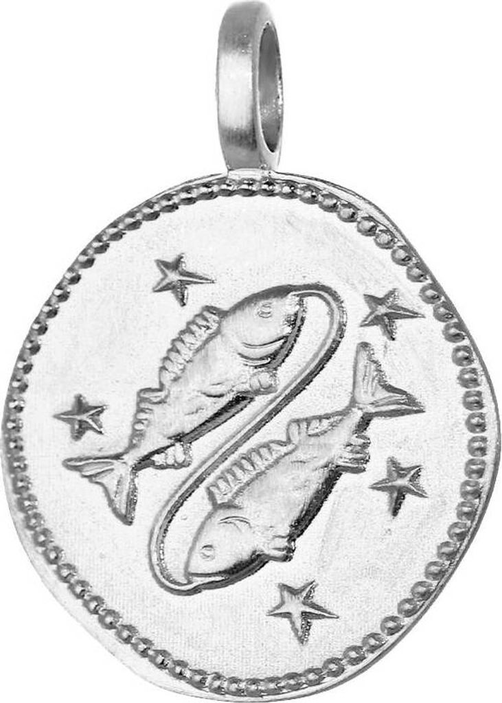 Fische Sternzeichen 925 Sterlingsilber 16mm Kettenanhänger Horoskop Zodiak 1673