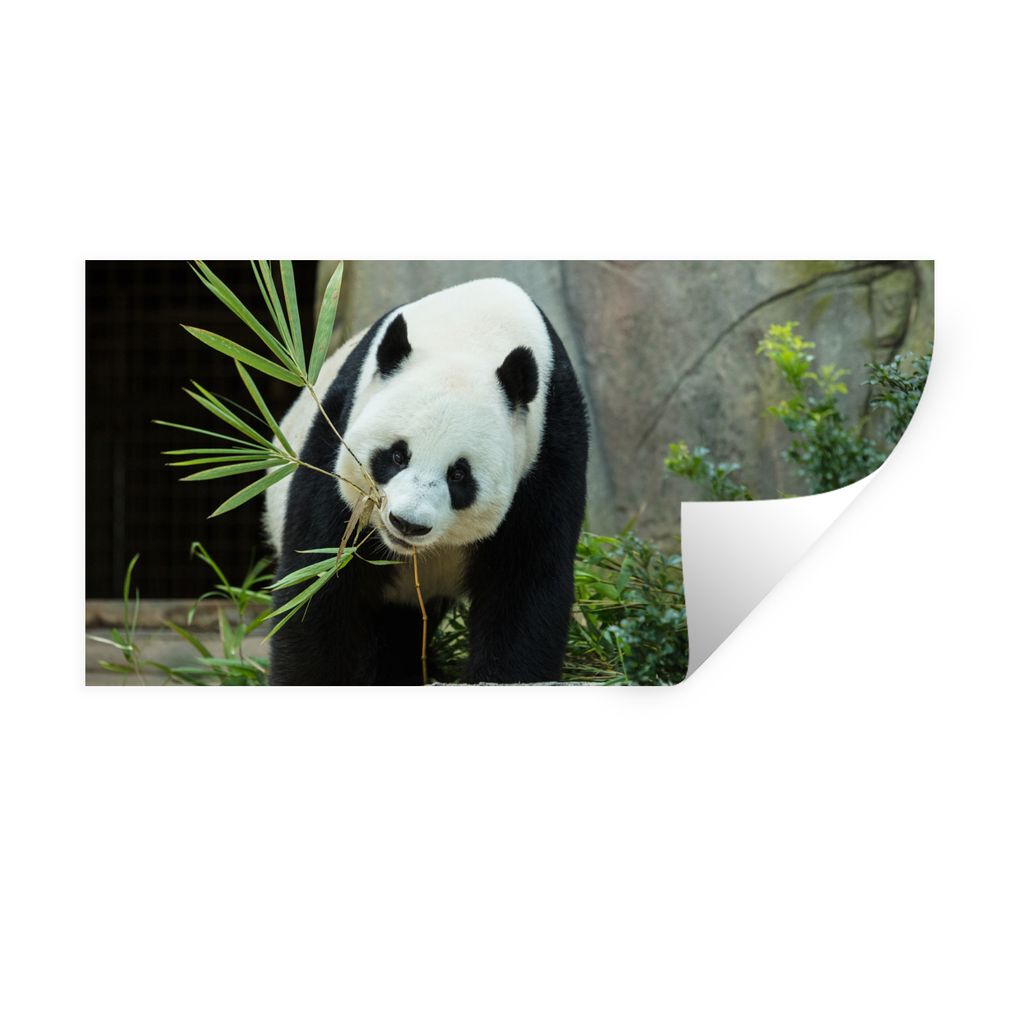 MuchoWow Wandtattoo Wandsticker Wandaufkleber Panda - Baumstamm - Höhle 40x20 cm Selbstklebend und Repositionierbar - Aufkleber