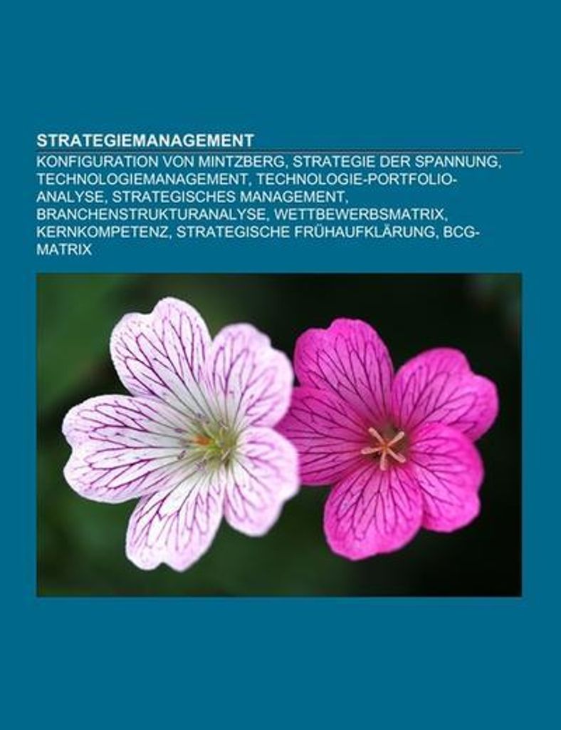 Strategiemanagement
