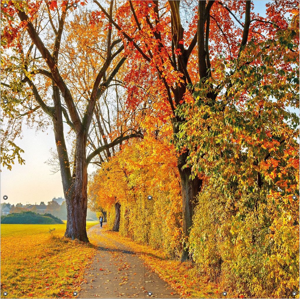 Wallario Outdoor-Poster für Garten oder Balkon, Motiv Herbstlicher Waldweg mit buntem Laub, in ca. 180 x 180 cm