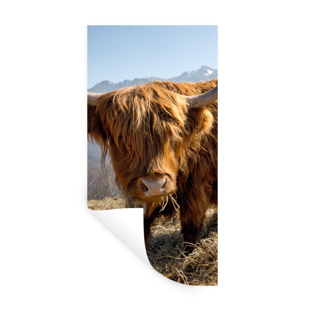 MuchoWow Wandtattoo Wandsticker Wandaufkleber Schottischer Highlander - Berg - Schnee 60x120 cm Selbstklebend und Repositionierbar - Selbstkleben...