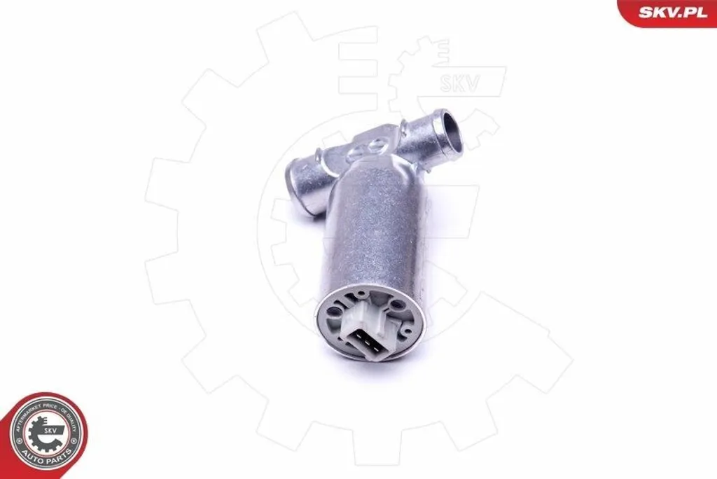 Régulateur de ralenti BMW E46 : Solution contre le calage moteur SKV - 4