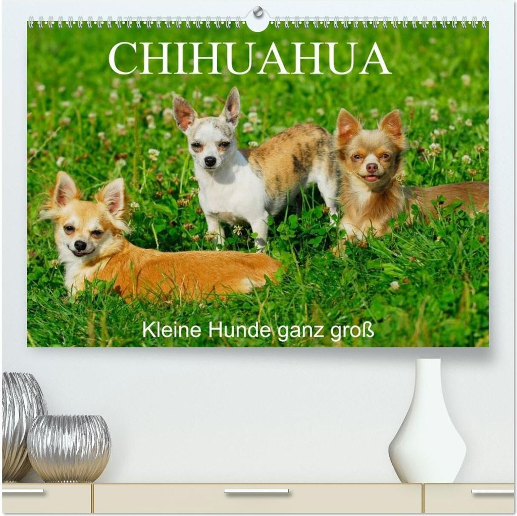 Chihuahua - Kleine Hunde ganz groß (hochwertiger Premium Wandkalender 2026 DIN A2 quer), Kunstdruck in Hochglanz
