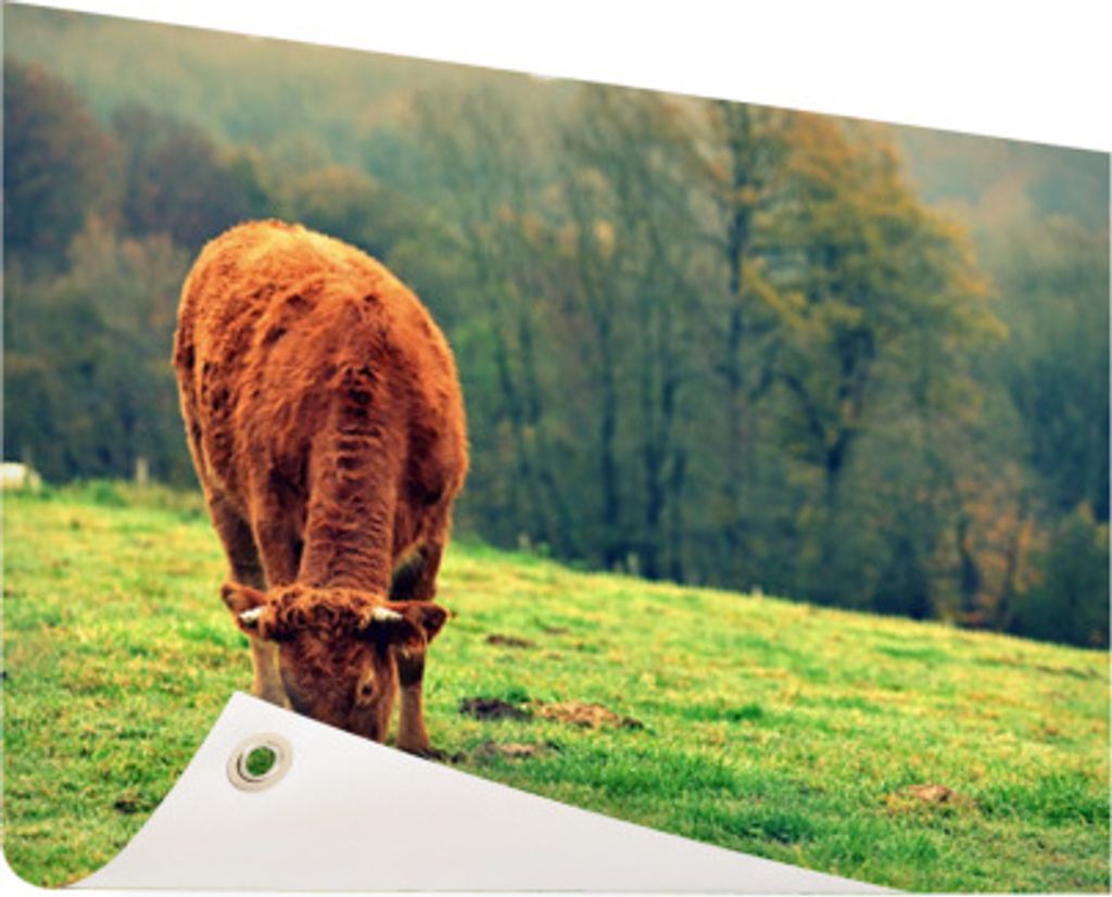 MuchoWow 120x80 cm Outdoor-Poster Gartendeko Sichtschutz Garten Poster für den Garten Kuh - Braun - Baum - Natur