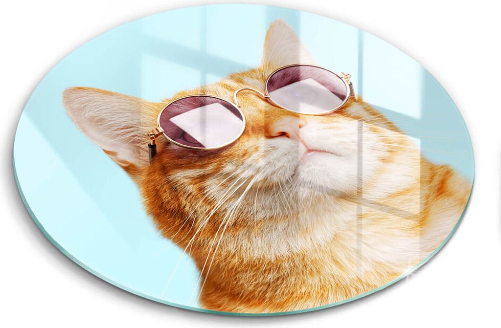 Glasschneideplatte - Herdabdeckplatte - fi40 cm -Schneidebrett - Spritzschutz - Rudy Cat mit Brille