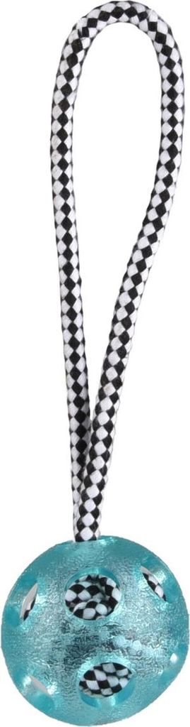 Flamingo Hundespielzeug Djengo Seil + TPR Ball blau, Maße: 25 cm