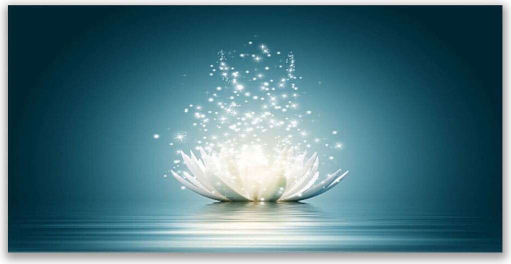 Glasbilder 120x60 Wandbild Druck auf Glas Lotosblume Blüte Pflanzen