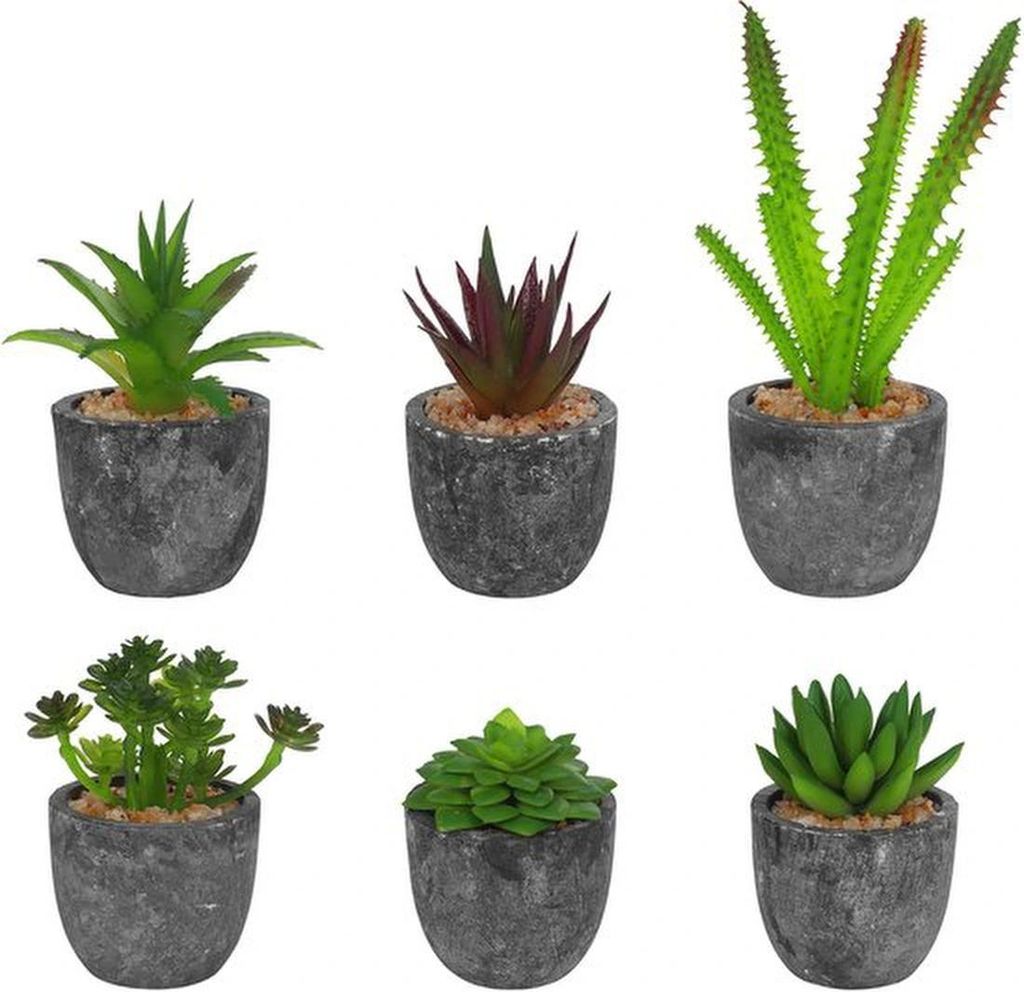 Unyqoos Set mit 6 realistischen Miniatur Kunstpflanzen in eleganten Töpfen für stilvolle Innenraumdekoration