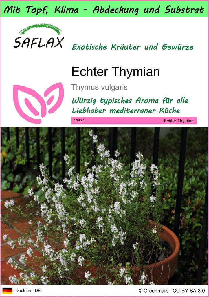 SAFLAX Garden to go - Echter Thymian - Thymus vulgaris - 200 Samen - Mit Topf, Klima - Deckel und Anzuchtsubstrat