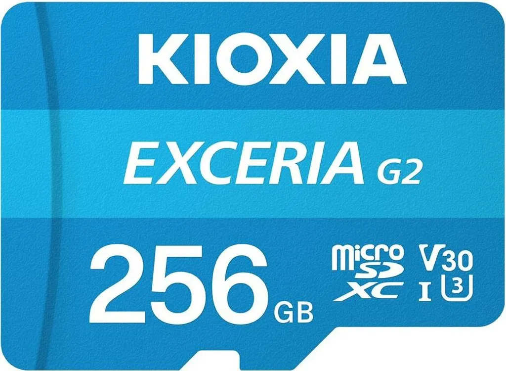 Memoria KIOXIA EXCERIA G2 256GB: Più Giochi su Nintendo Switch e Android