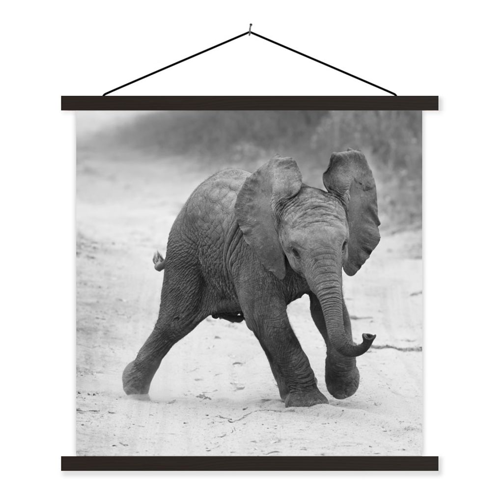 MuchoWow® Textilposter Elefant - Baby - Tiere - Kröte - Produktbild 