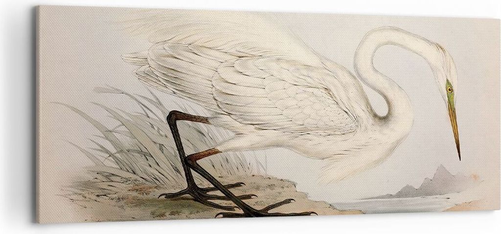 Bild auf Leinwand - Leinwandbild - Einteilig - Vogel Weiß Reiher - 120x50cm - Wand Bild - Wanddeko - Wandbilder - Leinwanddruck - Bilder - Wanddek...