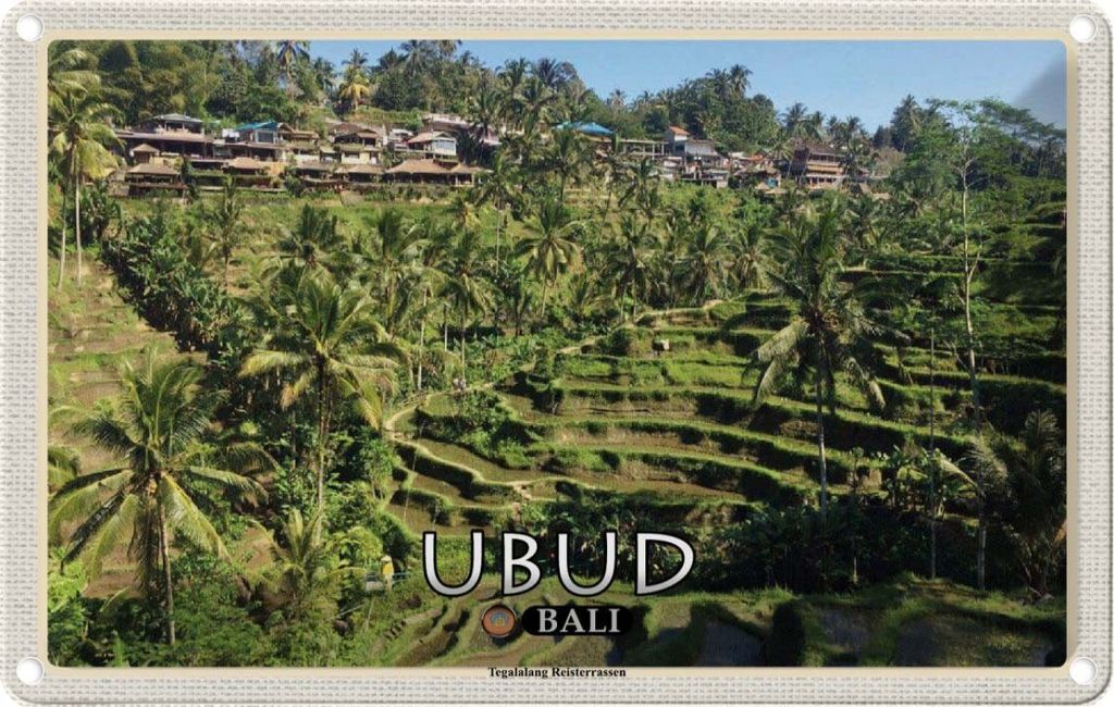 vianmo Blechschild 20x30 cm Ubud Bali Tegalalang Reisterrassen Bildmotiv Reisemotiv Abenteuer Reisen Urlaub