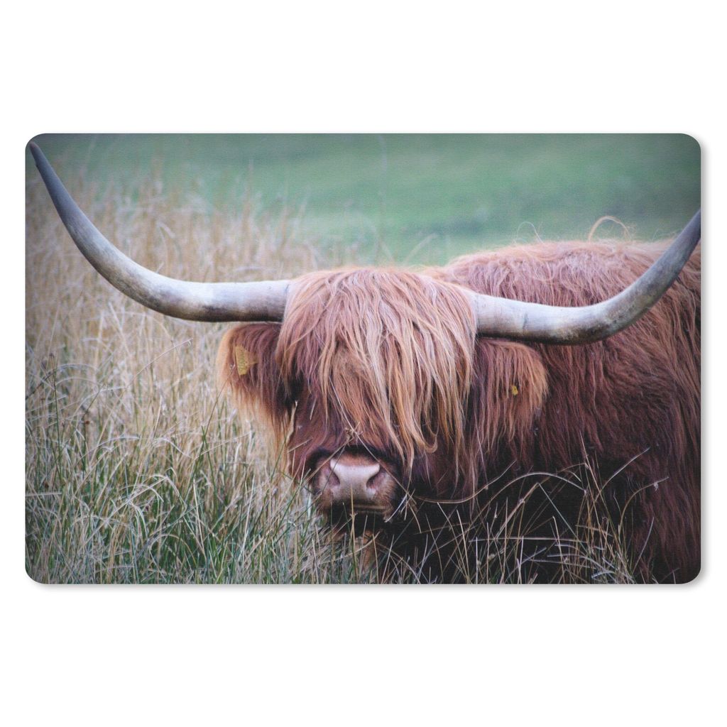 MuchoWow Mauspad Mousepad Schottischer Highlander - Hörner - Gras 27x18 cm - Mousepads - Maus Mat - Pad - Mausunterlage - Büroartikel - Desk Ma...