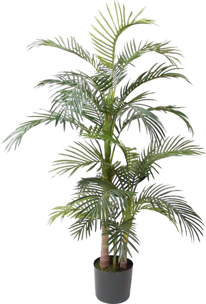 Emerald Künstliche Areca Palme - Bobby | 170 cm, für drinnen, Kunstbaum, wie echt, Allergiker geeignet, pflanzliche Dekoration Praxis, Office & W...