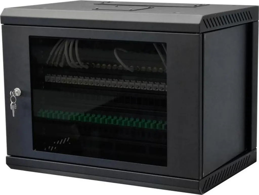 TELEVES MSR198 Armoire de montage 19'' 8U - Rack Mural pour Réseau