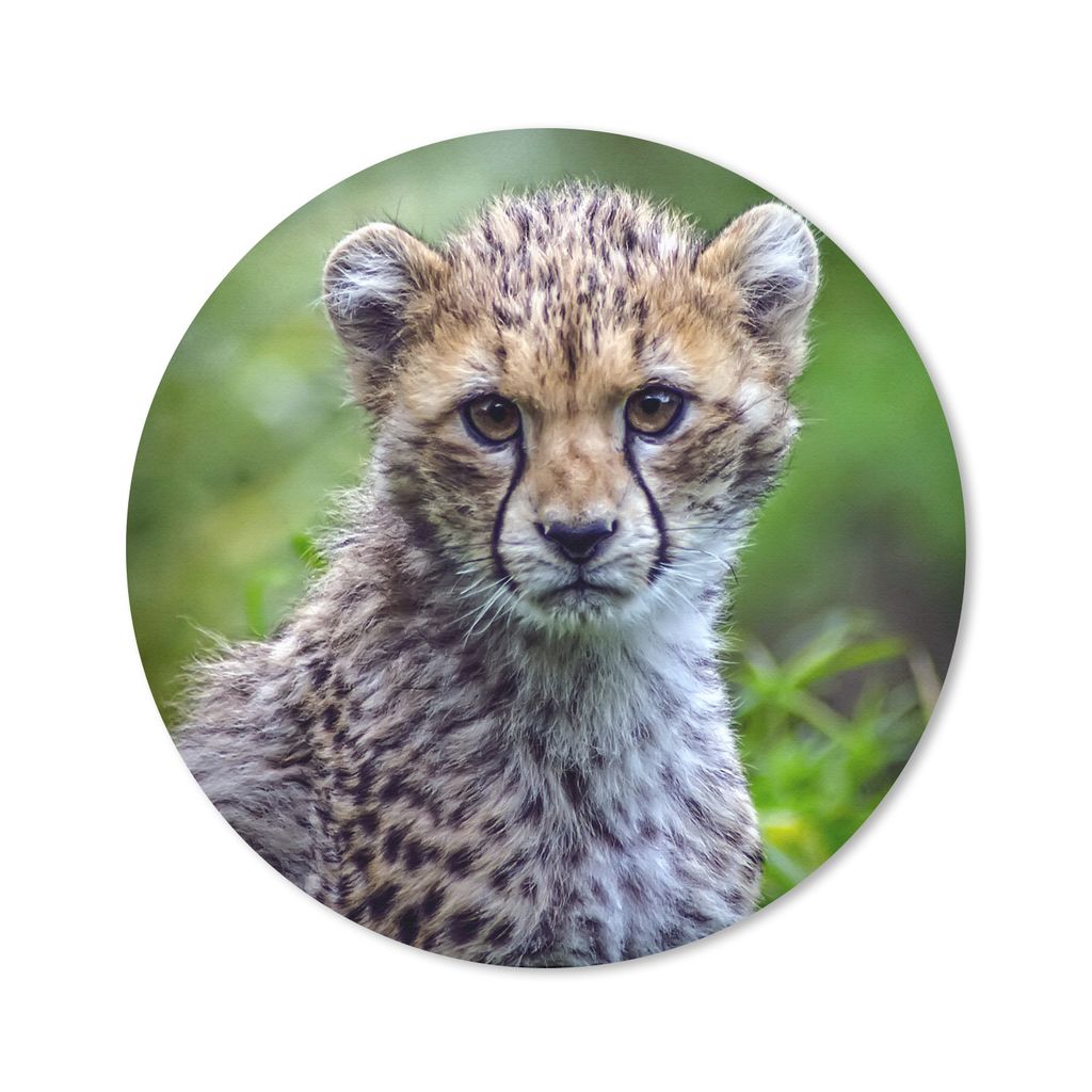 MuchoWow Mauspad Mousepad Porträt eines Geparden 50x50 cm - Mousepads - Maus Mat - Pad - Mausunterlage - Vinyl