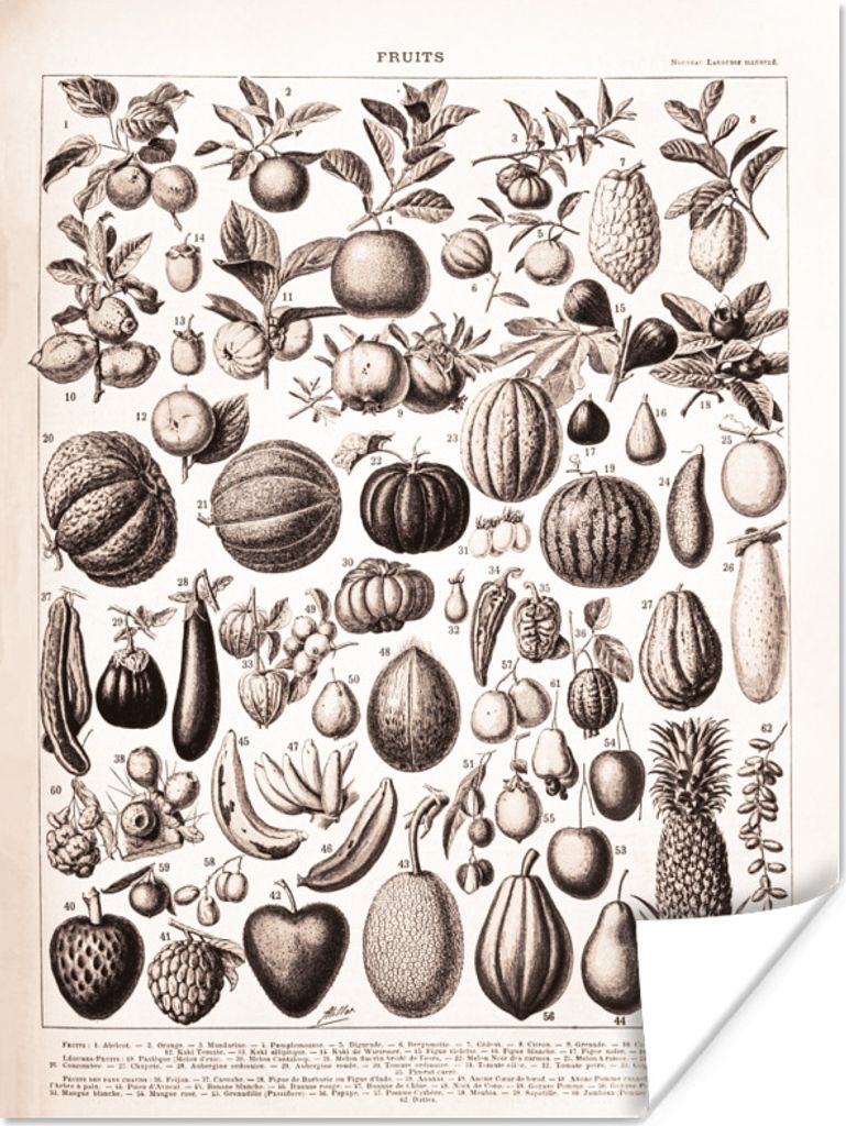 MuchoWow Poster Gemüse - Design - Schwarz - Weiß 60x80 cm - Schlafzimmer Dekoration