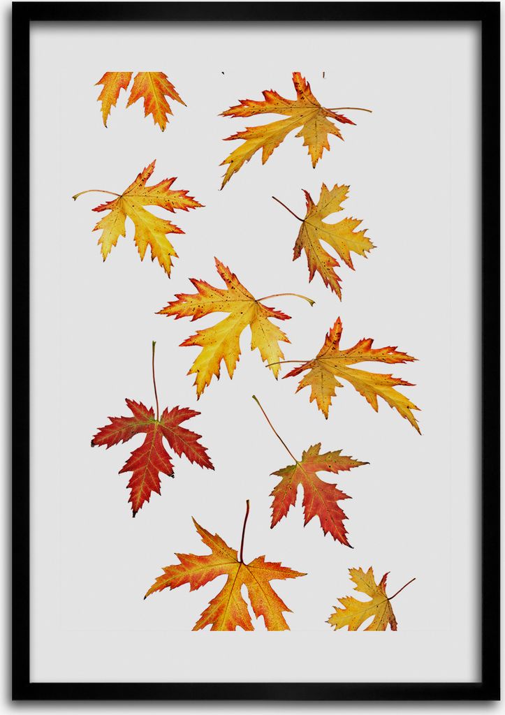 Bild - Bilderrahmen - 50 cm x 70 cm - MDF - Rahmen - Wandkunst Herbstlaub