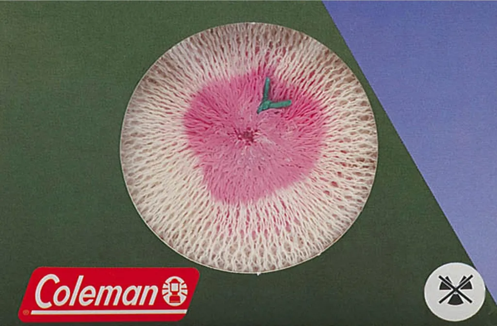Manchons de rechange Coleman x2 pour réparer une lanterne à essence