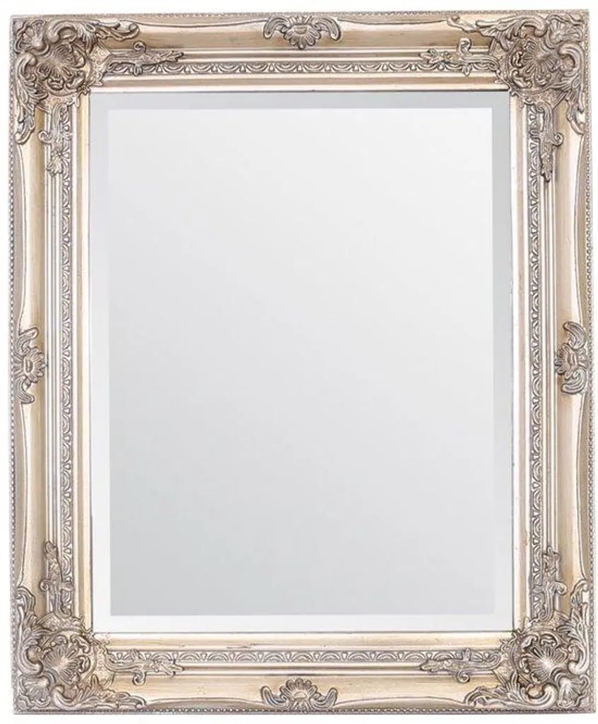 Miroir de courtoisie baroque champagne 50x60 pour chambre et salle de bain