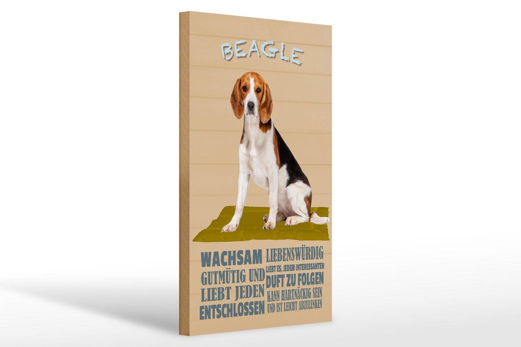 Holzschild Spruch 20x30cm Beagle Hund gutmütig liebt jeden Produktbild 