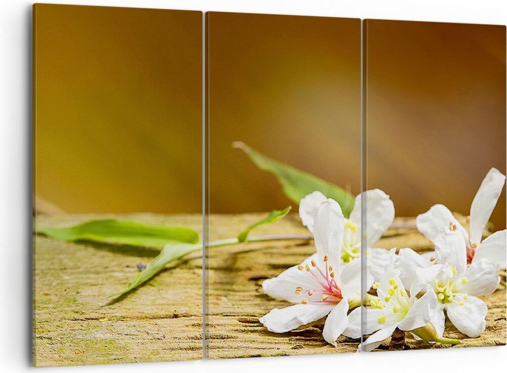 Bild auf Leinwand - Leinwandbild - Asien spa bambus blume - 105x70cm - Wand Bild - Wanddeko - Leinwanddruck - Bilder - Kunstdruck - Wanddekoration ...