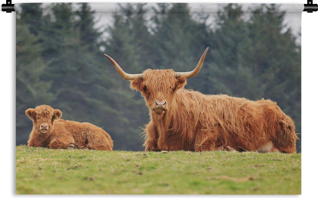 MuchoWow Wandteppich Wandbehang Schottische Highlander - Gras - Wald 120x80 cm Tapisserie Dekoration Wandtuch - Wanddekorationen - Wandtücher