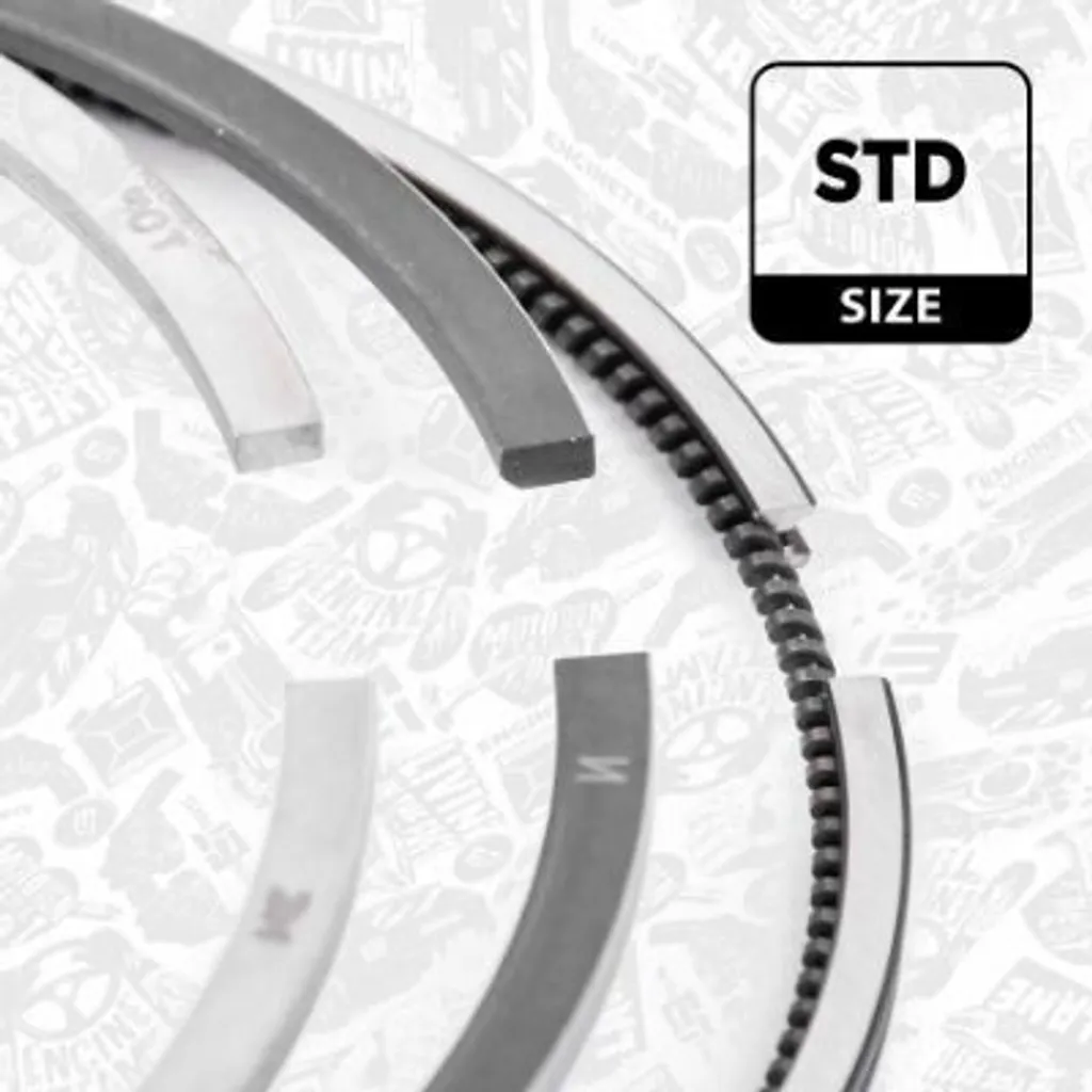 Set Fasce Elastiche R1009100 per VW Golf V VI Tourat Tiguan 81.00mm
