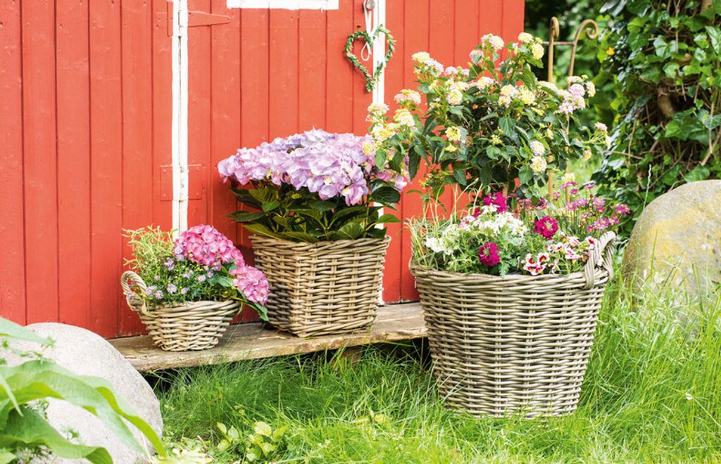Pflanzer Rattan groß Blumenkasten Pflanzkorb Pflanzschale Produktbild 8
