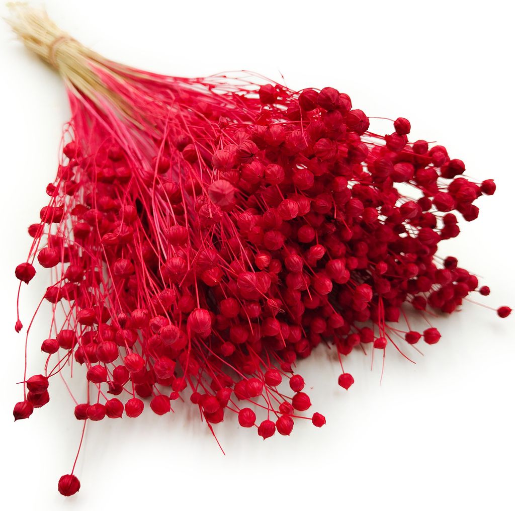 Flachs Getrocknete - (Leinen) - Rot Produktbild 