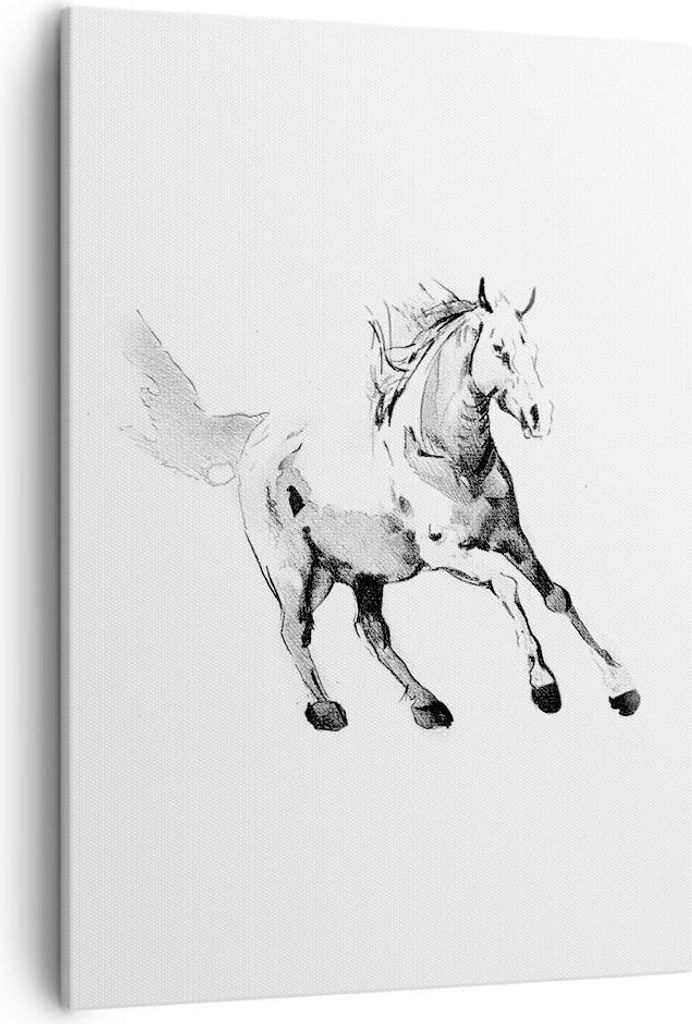 Bild auf Leinwand - Leinwandbild - Einteilig - Pferd Galopp Tier - 50x70cm - Wand Bild - Wanddeko - Wandbilder - Leinwanddruck - Kunstdruck - Wandd...