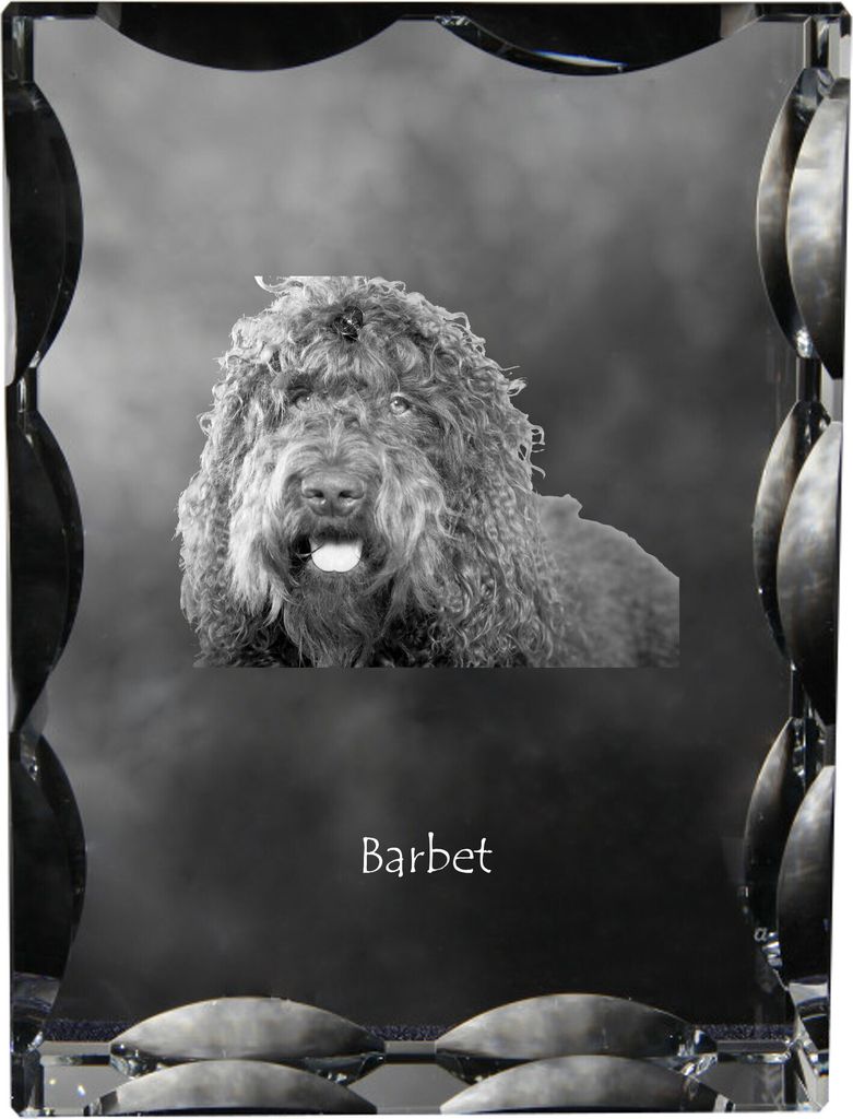 Barbet, Französischer Wasserhund - Kristall mit einem Hundebild, Glasstatuette mit einem Bild, einzigartiger Bilderrahmen der Marke Art-Dog
