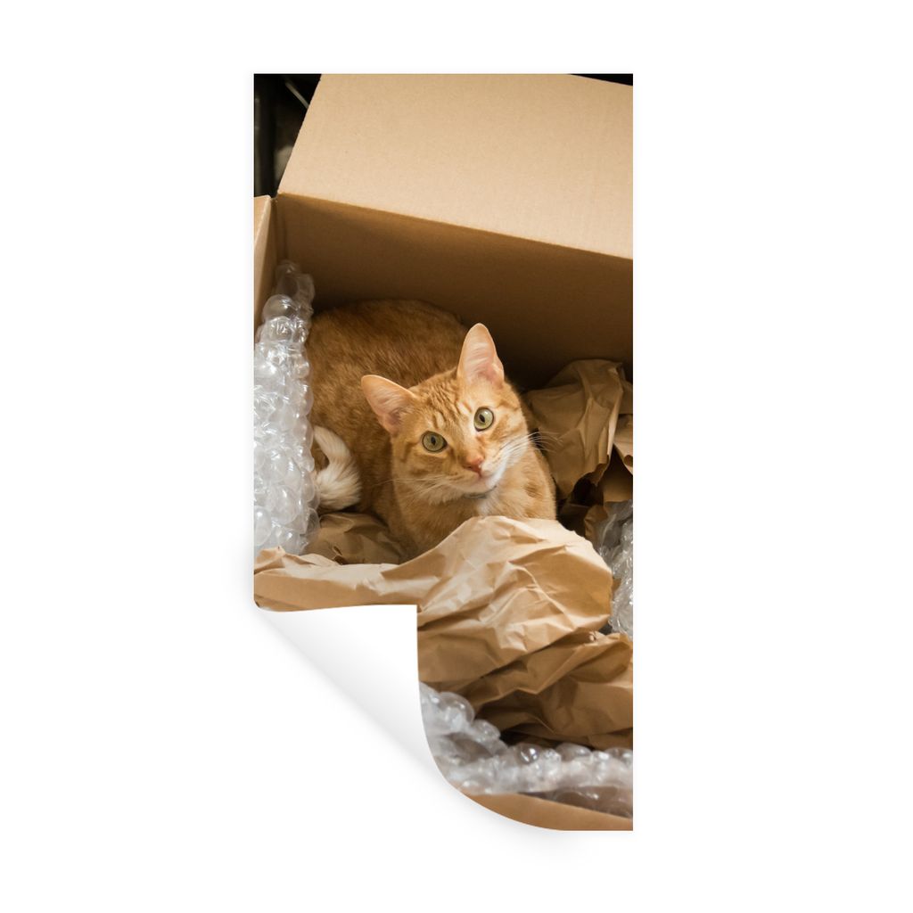 MuchoWow Wandtattoo Wandsticker Wandaufkleber Katze - Box - Rot 40x80 cm Selbstklebend und Repositionierbar - Repositionierbar - Wasser abweisend