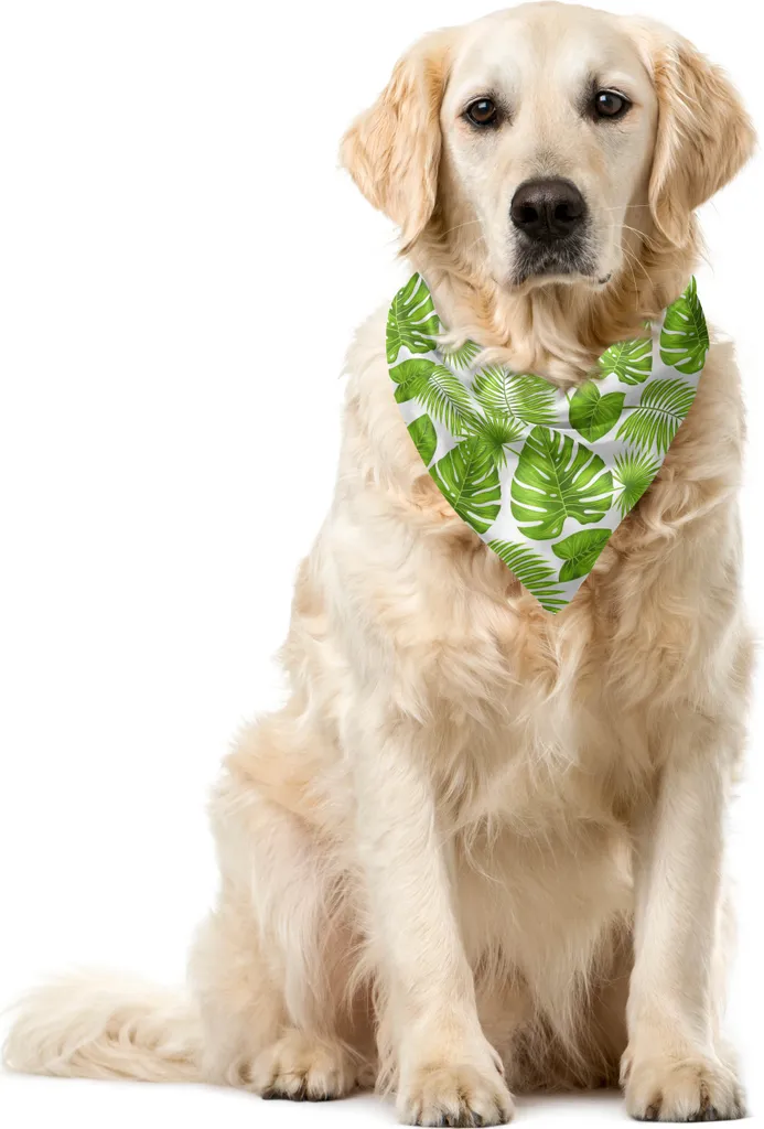 ABAKUHAUS Bandana esotica per animali domestici, foglie della foresta tropicale, 40x40 cm, bianco e verde felce