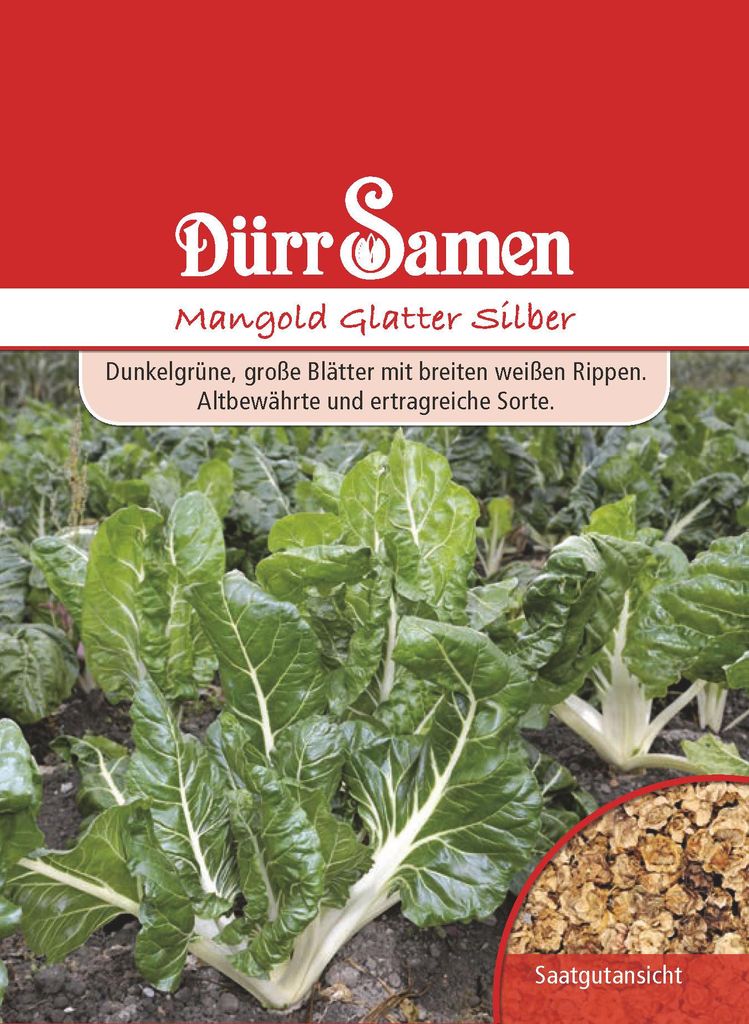 Artikelbild 1 von 'Mangold Glatter Silber' aus der Kategorie Mangoldsamen