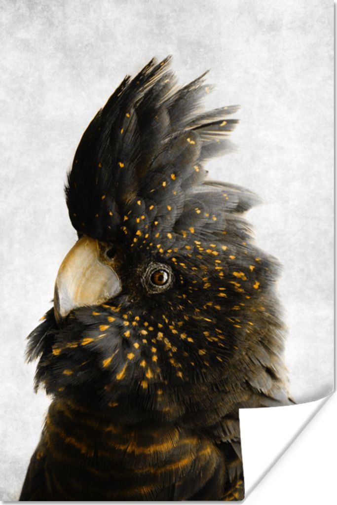 MuchoWow Poster Kakadu - Vogel - Gold 80x120 cm - Papierdruck