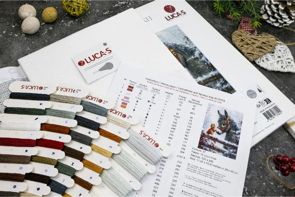 Kit point de croix compté complet avec toile et fils de coton