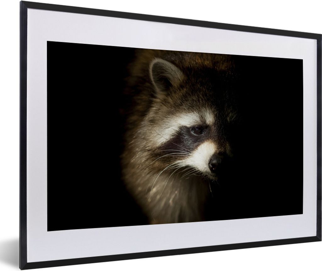 MuchoWow® Gerahmtes Poster Waschbär - Wilde Tiere - Schwarz Produktbild 