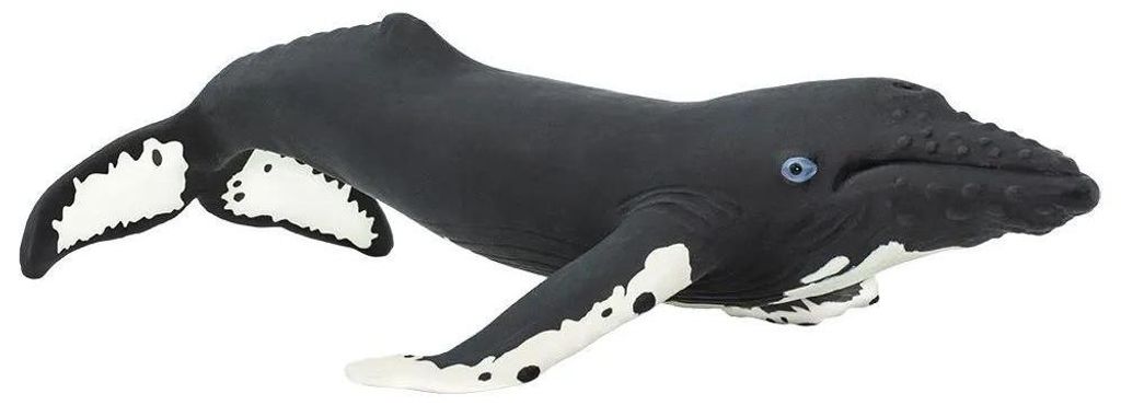 Safari Ltd Humpback Whale Sea Life Figur Schwarz From 3 Years Schwarz From 3 Years