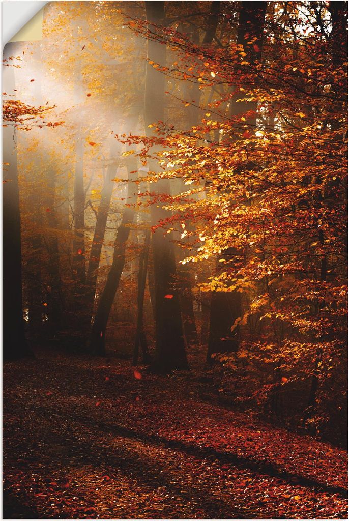 ARTland Wandbild, selbstklebend Sonnenaufgang im Herbst Größe: 20x30 cm