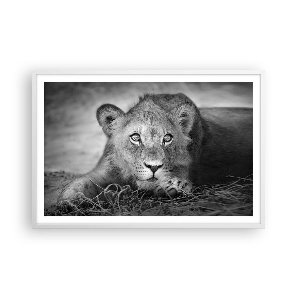 Gerahmtes Poster - Weißer Rahmen - Löwe asiatisch Porträt - 91,5x61 cm - Wand Bild - Wanddeko - Wandbilder - Kunstposter - Wandposter - Bilderra...