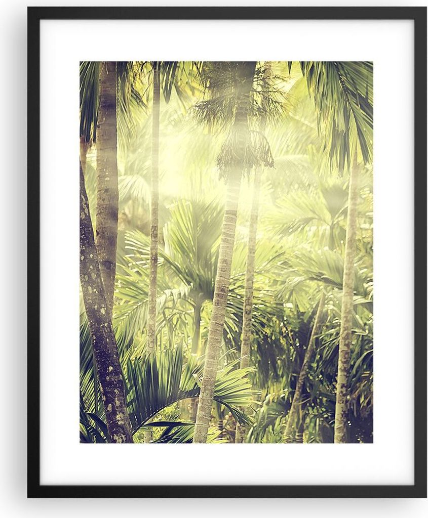 Gerahmtes Poster - Schwarzer Rahmen - Morgendämmerung Dschungel Palmen - 40x50 cm - Wand Bild - Wanddeko - Wandbilder - Kunstposter - Wandposter -...