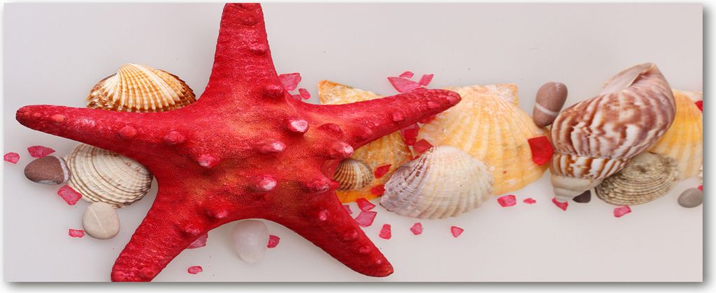 Tulup Leinwandbild - 125x50 cm - Wandkunst - Drucke auf Leinwand - Leinwanddruck - Tiere - Rot - Seestern Muscheln