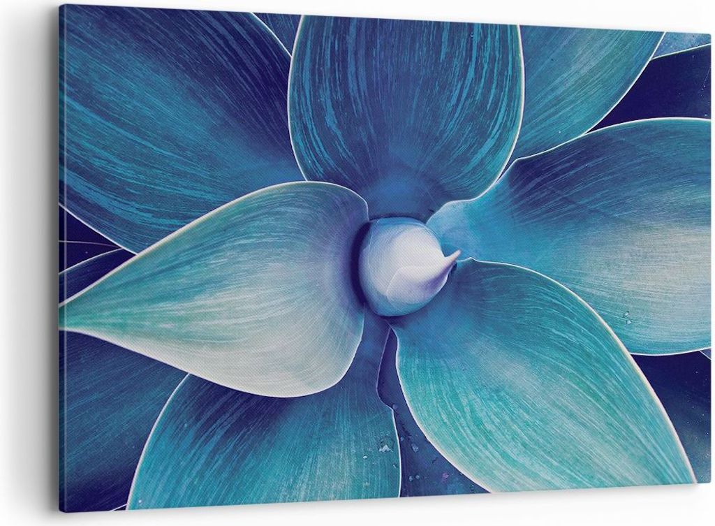 Bild auf Leinwand - Leinwandbild - Einteilig - Agave Blau Blume - 120x80cm - Wand Bild - Wanddeko - Wandbilder - Leinwanddruck - Bilder - Wanddekor...